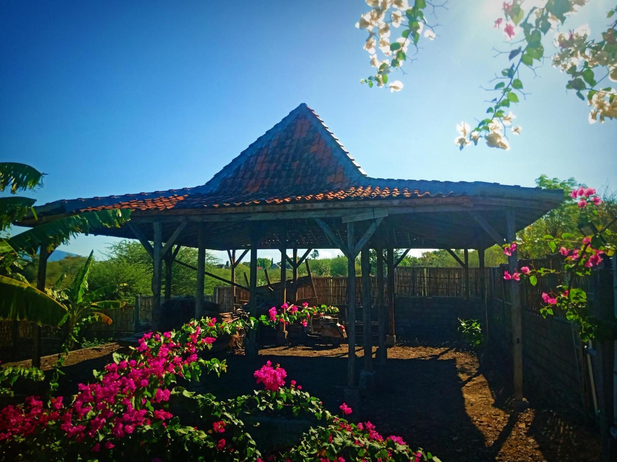 Umah Kayu 2-Menjangan Homestay Banyuwedang Екстериор снимка